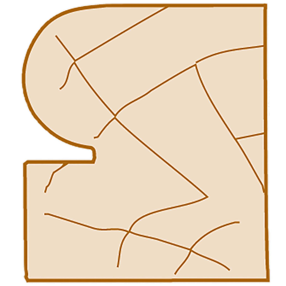 alternate_image
