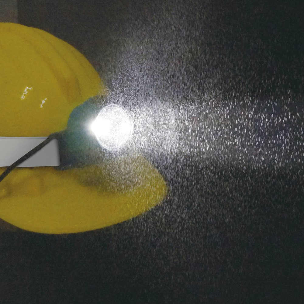 alternate_image
