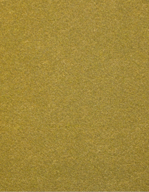 primary_image