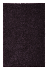 alternate_image
