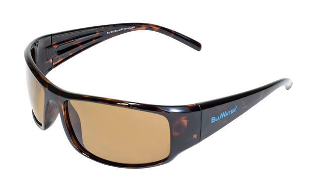 Florida 1 Polarized Sunglasses - Gloss Black - Polarized Gray