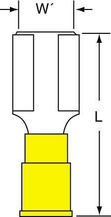 primary_image