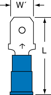 primary_image