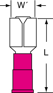 primary_image
