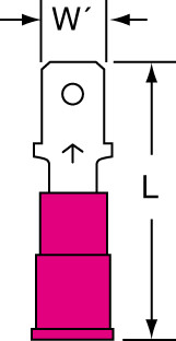 primary_image