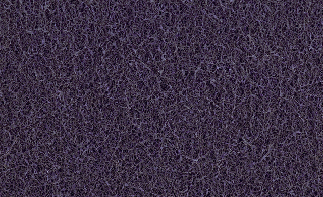 primary_image