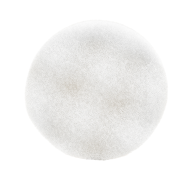 primary_image