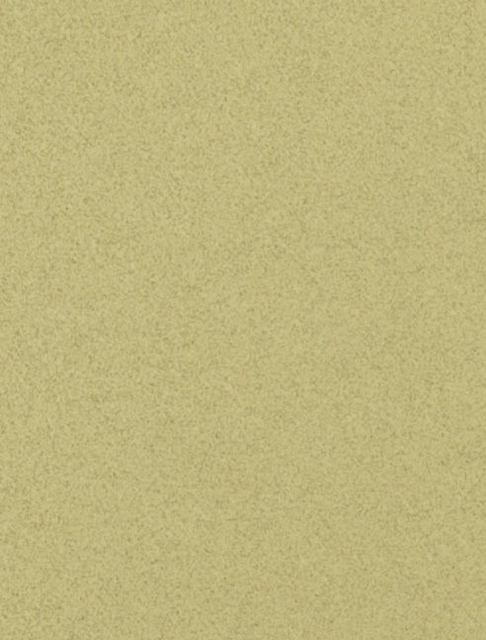 primary_image
