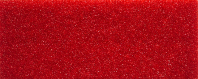 primary_image