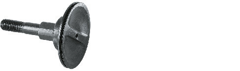 primary_image