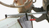 alternate_image