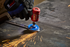 alternate_image