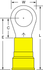 primary_image