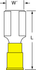 primary_image