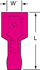 primary_image