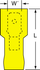 primary_image