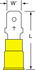 primary_image