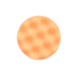 primary_image