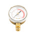 Blue Star 2.5" Replacement Pressure Gauge, 100 Psi, Steel Case