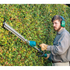 alternate_image