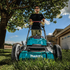 alternate_image