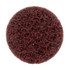 Scotch-Brite Roloc Surface Conditioning Disc, TR, 1-1/2 in x NH
