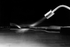 primary_image