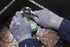 primary_image