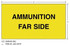 3M Diamond Grade Weapon Sign 3MN501DG, "AMMUN‚Ä¶SIDE", 9 in x 5 in, 10/Package 57098