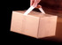 3M Carry Handle 8315, White, 1-3/8 in x 23 in x 6 in, (25 Handle/Pad)
Case