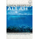 Logical Proofs for the Oneness & Perfection of Allah By Ash-Shaykh Abdur Rahman bin Naasir As-Sa'dee,ISBN: 9781467559591