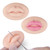 2pcs 3D Practice Skin for Microblading Permanent Makeup Lips