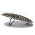 Western Antique Silver Engraved Swarovski Rhinestone Crystal Belt Buckle Fits 1-1/2"(38mm) Wide Belt (Black Diamond)