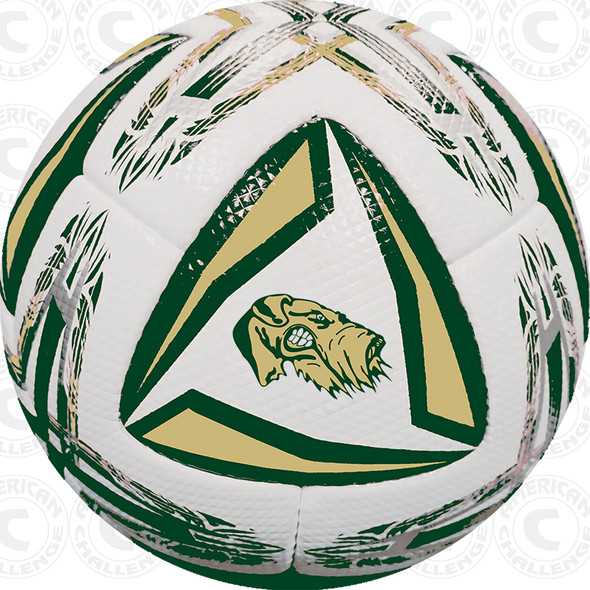 AIREDALES SOCCER BALL