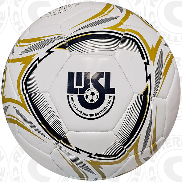 LIJSL 60th ANNIVERSARY