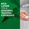 Dettol Anti-Bacterial Sensitive Hand wash, 200ML