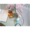 Testo pH Meter For Flexible Use, 206-pH3, 0 to 14 pH