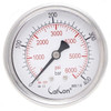 Calcon Pressure Gauge, CC10D, 63MM, 1/4 Inch, NPT, 0-400 Bar
