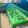 Robustline PVC Coated Garden Fence, 1/2 Inch Mesh Size, 12 Feet Length x 4 Feet Width, Green