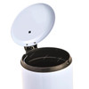 Akc Pedal Trash Bin, SS11W-20, Stainless Steel, 20 Ltrs, White