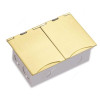 Novex Flat Floor Socket Plate, NFS-406FB, Stainless Steel, 2 Gang, 13A, Gold