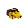 Novex Water Pump, NWP-2301, Cast Iron, 0.37kW, 0.5 HP, 26.7 Ltrs/Min Flow Rate
