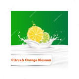 Dettol Anti-Bacterial Fresh Handwash, Citrus and Orange Blossom, 1 Ltr