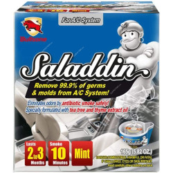Bullsone Saladdin Fumigator Car Air Freshener For AC And Heater System, 165GM, Mint