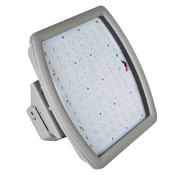 Munira Lighting LED Canopy Explosion-Proof Light, EX1-60, 60W, Cool White, 100-240VAC