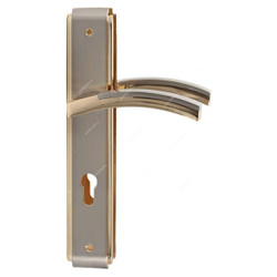 ACS Door Handle, AA99-AA95-SN-GP, Zinc, Silver and Gold