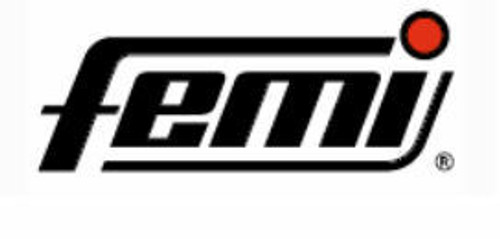 Femi Femi