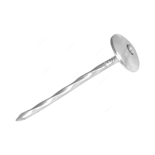Roofing Nail, Iron, 2 Inch, Silver, PK50