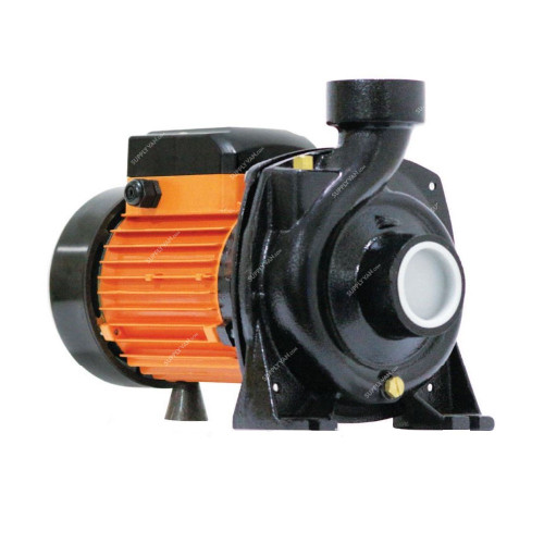 RR Centrifugal Water Pump, RRCP-2-0S-22, 1.5kW, 2 HP