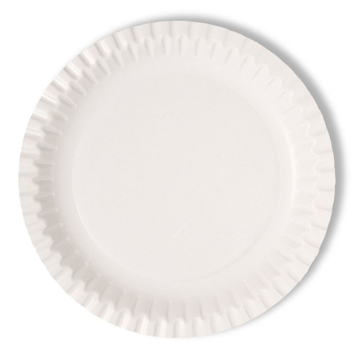 Disposable Paper Plate, 9 Inch, White, 1000 Pcs/Pack